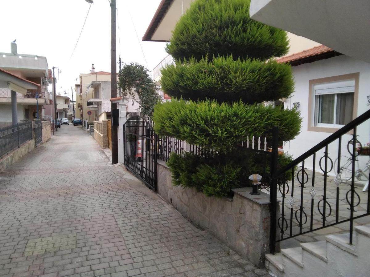 Villa Konstantina 尼尔斯吉尼 外观 照片