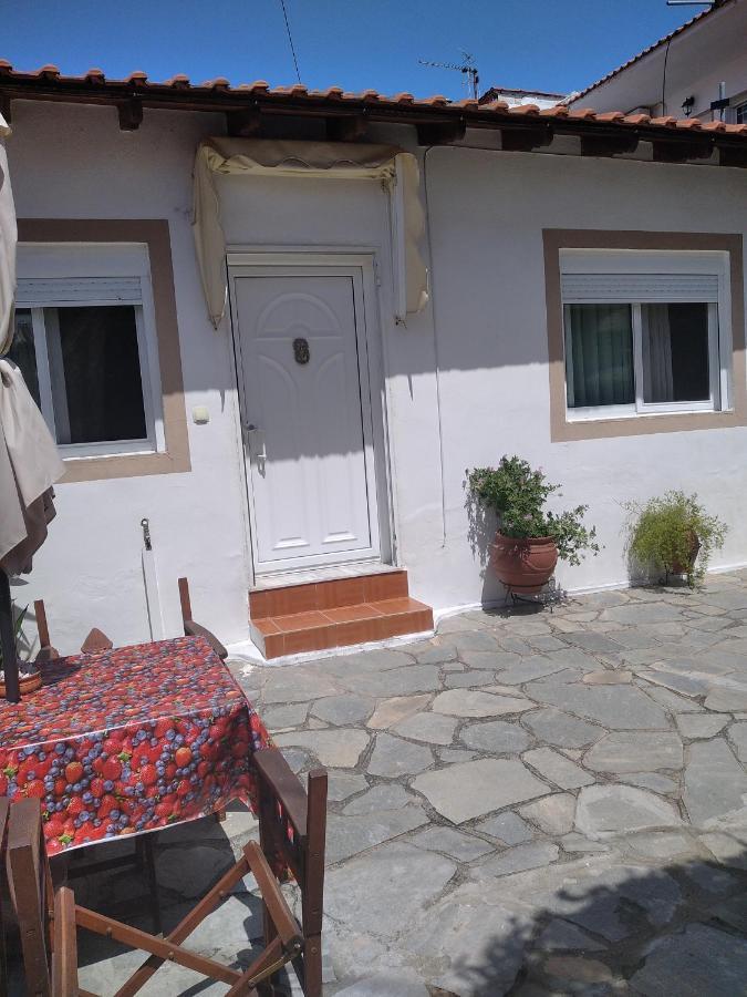 Villa Konstantina 尼尔斯吉尼 外观 照片